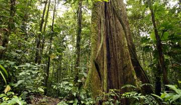 Incontournables du Pérou (Amazonie, 12 jours)