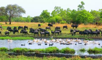 Liuwa National Park - Africa\'s Untouched Wilderness Tour