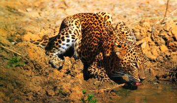 Sri Lanka Wildlife Tour Tour