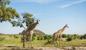 Lodge-Safari: Caprivi, Okavango & Chobe Rundreise