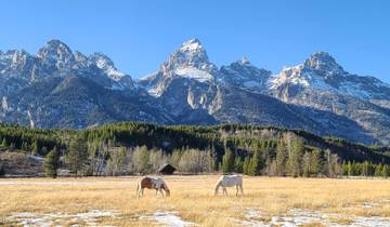 5 Day- Yellowstone and Grand Teton National Park in Depth- Hotel Based Tour