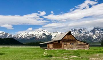 Private- 5 Day- Yellowstone and Grand Teton National Park in Depth- Hotel Based Tour