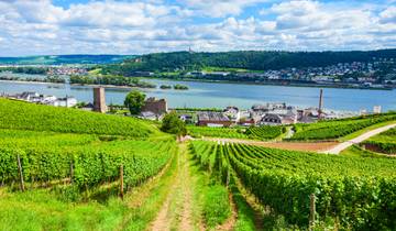 Le Rhin et le Rhône dévoilés pour les amateurs de vin (en direction du sud) 2025