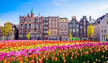 Tulip Time in Holland & Belgium for Garden and Nature Lovers with 1 Night in Amsterdam 2025 Tour