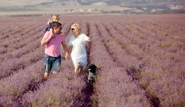 Grande France avec 3 nuits à Londres pour les amateurs de vin (en direction du nord) 2025