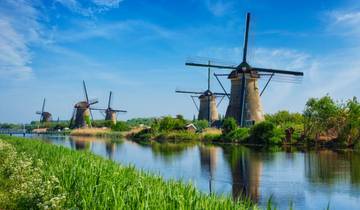Tulip Time Highlights for Garden and Nature Lovers with 1 night in Brussels 2025 Tour