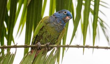 4 jours au Lodge durable de l'Amazonie