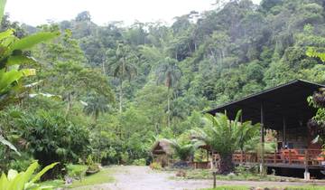 4 jours de safari en Amazonie