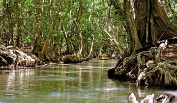 Island Hopping in the Kaleidoscope of the Caribbean