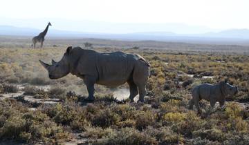 Von Arusha 11 Tage Lake Hopping Safari Rundreise