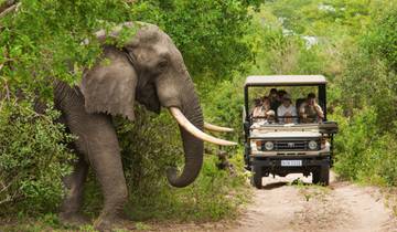 Deutschsprachige Zubucherreise Südafrika: Wildparks Durban – Johannesburg via Krüger-Nationalpark in einer Kleingruppe, 2024 Tour
