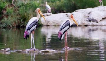 Goldenes Dreieck mit Bharatpur Bird Sanctuary (alles inklusive) Rundreise