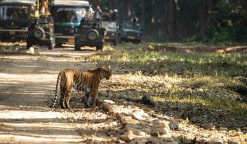 Triangle d\'or avec le parc national de Ranthambore et Jim Corbett circuit