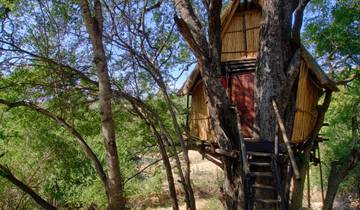 4 Day Lodge and Treehouse Kruger Park Safari