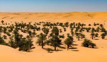 M'Zab Valley & Oases Tour