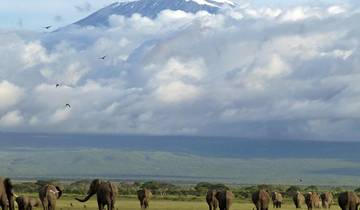 Classic Best Adventure Kenya and Tanzania, 2024- Luxury Accomodation Properties. Tour