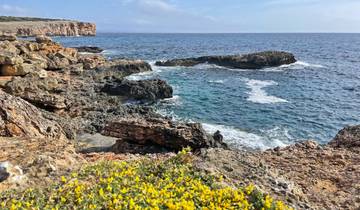 7 Day Mallorca Cycling Itinerary, incl. Portocolom and Porto Cristo