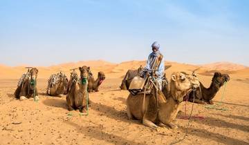 Marokko Highlights: Atlantikküste, Königsstädte & Sahara-Wüste - 13 Tage Rundreise