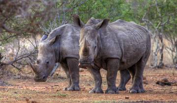 Jungle, Falls & Game Parks (Accommodated) - 46 days