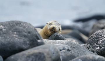 Galapagos Island Hopping -  7 Days