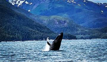 11 Days in Alaska, incl. Denali and Wrangell-St. Elias