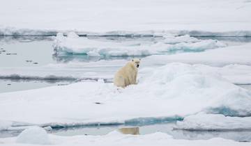Svalbard In Depth - Land, Sea And Ice Tour