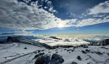 Beklim de Kilimanjaro - Noordelijk Circuit 8 Dagen | Landschappelijke, Matige Trek met Hoog Succespercentage