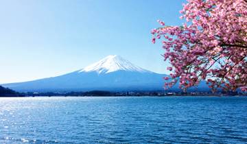Best of Japan with Cherry Blossom & Mt. Fuji (Group Tour) Tour