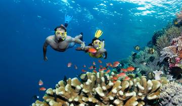 Circuito Aventura de Brisbane a Cairns (14 destinations)