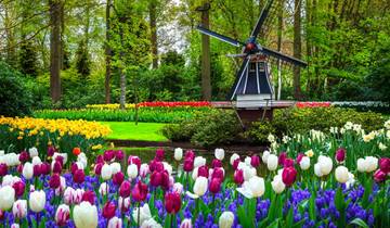 8 Day Netherlands Cycling Itinerary, incl. Amsterdam and Rotterdam