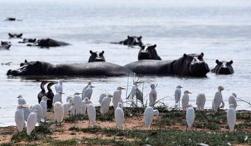 10 Days in Kenya Safari, incl. Nairobi and Masai Mara