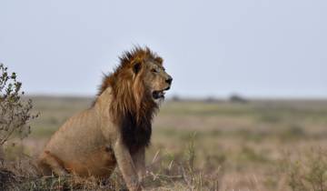 5 Days - Arusha NP, Tarangire, Manyara & Ngorongoro