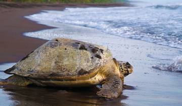 Real Costa Rica Tour