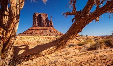 National Parks, Mount Rushmore and Little Big Horn