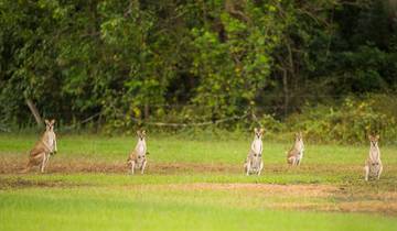 6 Day Australia's Top End Itinerary, incl. Darwin and Kakadu