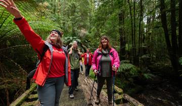 Le meilleur de Tarkine et de Cradle Mountain en Tasmanie