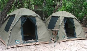 Gorilla Trek, Kenya et; Tanzanie - avec hébergement - 28 jours