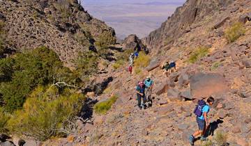 Dana to Petra Trek - 8 Days