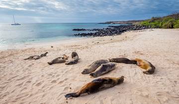 Pérou et découverte des Galápagos - 15 jours