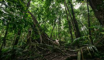 Aventure dans le nord du Queensland