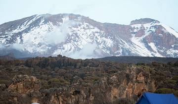 8 jours de safari au Mont Kilimandjaro, route de Marangu circuit