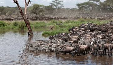 From Nairobi to Masai Mara: 3 Days 2 Nights Budget Small Group Joining Safaris Tour