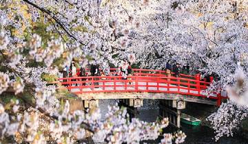 Best of Japan: Tokyo to Osaka (Private Guided, 4-star Hotels)