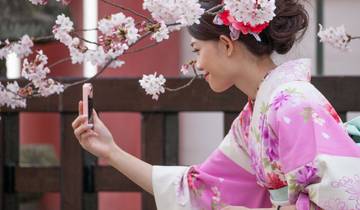 Le meilleur du Japon : De Tokyo à Osaka (avec guide privé, hôtels 4 étoiles)