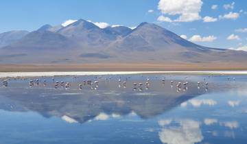 7 Days in Bolivia, incl. La Paz and Uyuni Salt Flats
