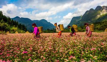 4-Days Ha Giang Loops Motobike Tour