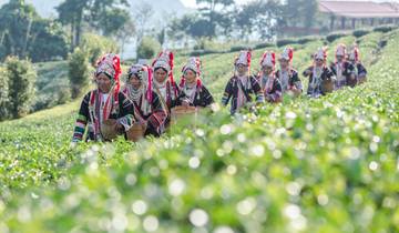 Anciens royaumes du nord de la Thaïlande 6 jours - Circuit privé circuit