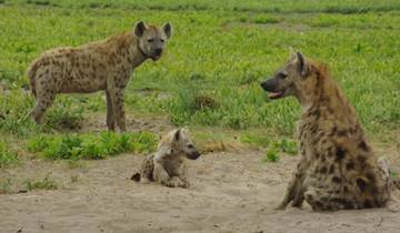 Safari through the Zambezi and Luangwa Valleys