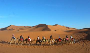 Majestic Morocco: Desert to Atlantic Coast Adventure Tour