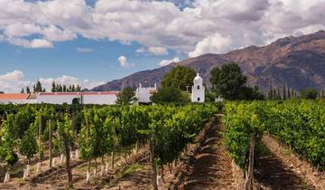 13 Day Argentina, Bolivia & Chile Itinerary, incl. Buenos Aires and Santiago